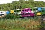 CFRC 3006 WRAP FOR ORLANDO HEALTH EAST SIDE